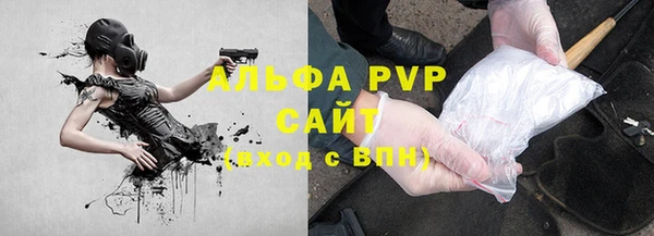 PSILOCYBIN Волосово