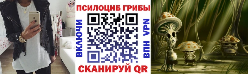 Псилоцибиновые грибы Magic Shrooms  Железногорск-Илимский 